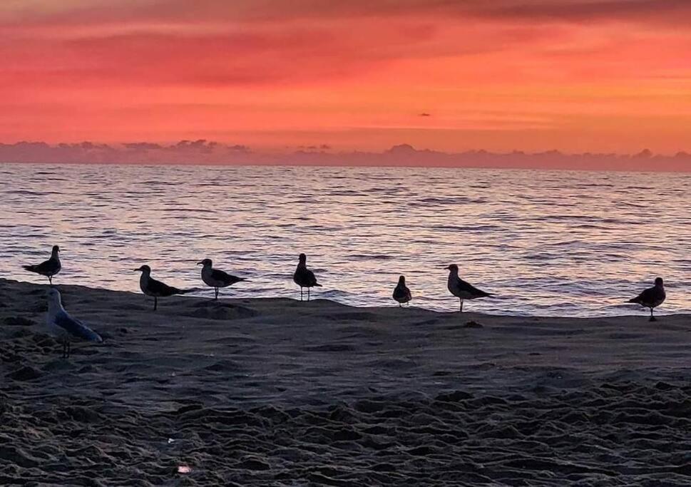 North Ocean City Newly Remodeled Bagian luar foto